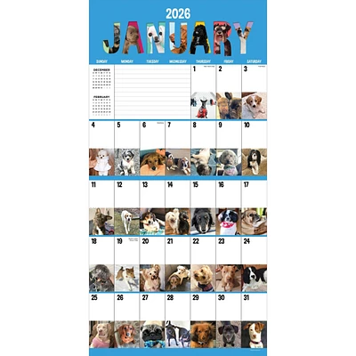 2026 Dog-a-Day Wall Calendar