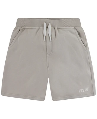 Levi's Big Boys Lived Shorts