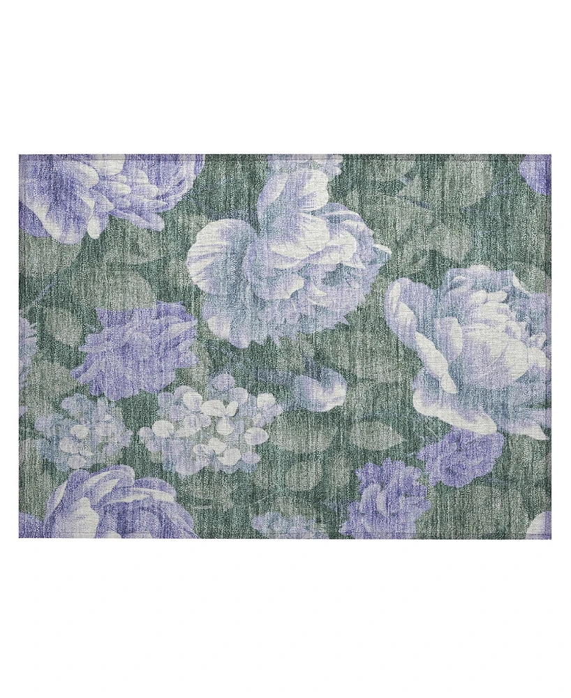 Addison Chantille ACN1563 1'8"x2'6" Area Rug