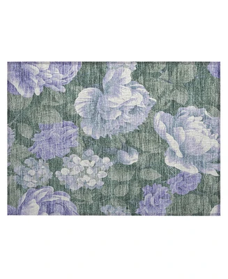 Addison Chantille ACN1563 1'8"x2'6" Area Rug