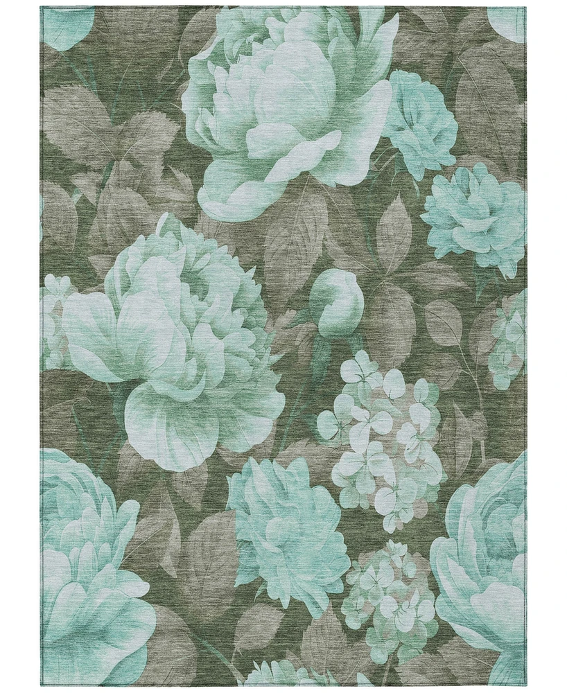 Addison Chantille Machine Washable ACN1565 5'x7'6" Area Rug