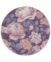 Addison Chantille Machine Washable ACN1567 8'x8' Round Area Rug