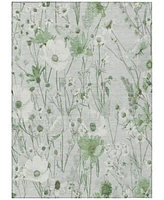 Addison Chantille Machine Washable Acn1502 Area Rug Collection