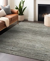 Addison Chantille Machine Washable ACN1271 8'x10' Area Rug