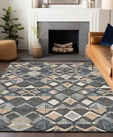 Addison Chantille Machine Washable Acn1309 Area Rug Collection