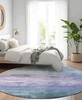 Addison Chantille Machine Washable ACN1466 8'x8' Round Area Rug