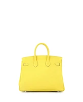 Pre-Owned Hermes Birkin 25 Handbag Verso Novillo with Palladium Hardware