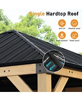 Aoodor 10 x 10 ft Wooden Frame Gazebo with Galvanized Metal Hardtop Roof, Outdoor Patio Gazebo with Charging Socket