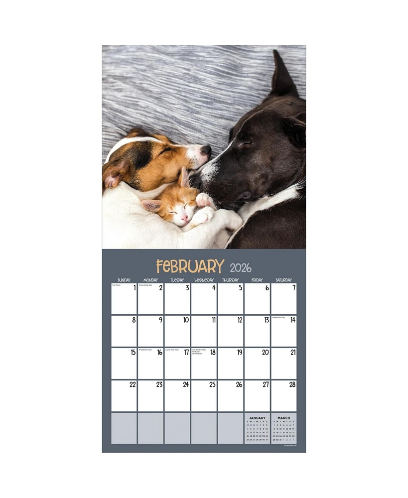 2026 Furry Friends Wall Calendar