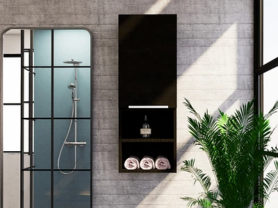 Savona Medicine Single Door Cabinet, Two Interior Shelves, External White