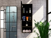 Savona Medicine Single Door Cabinet, Two Interior Shelves, External White