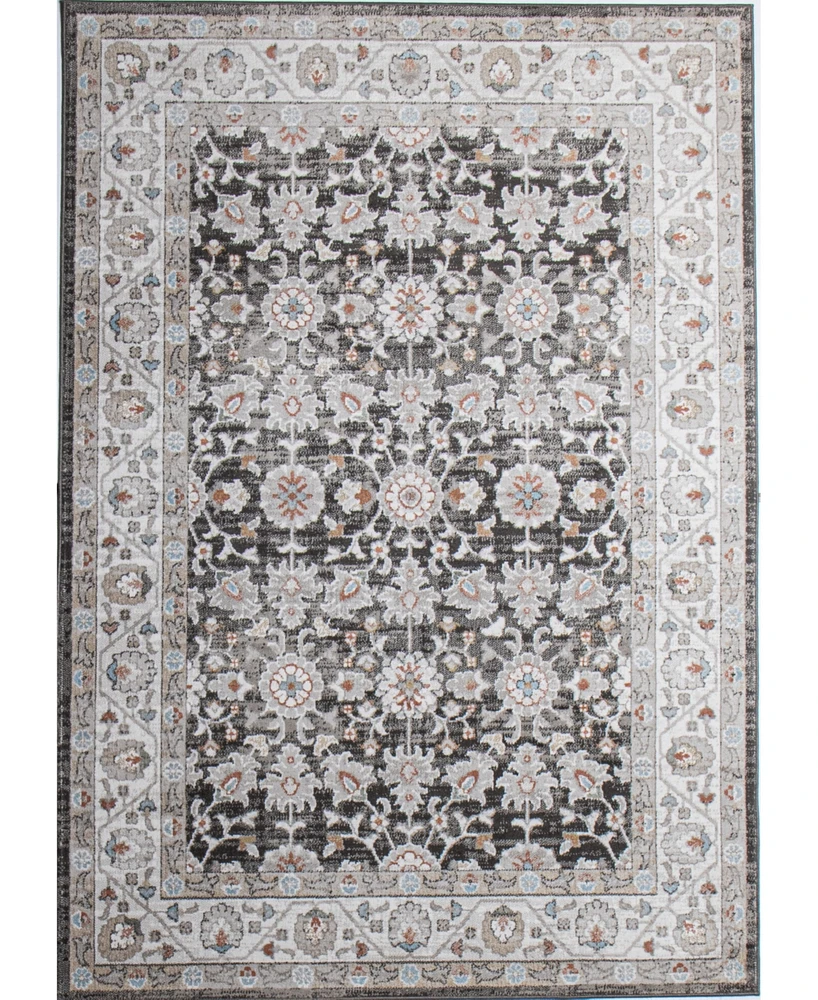 Bashian Parlin ASH313 7'6"x9'6" Area Rug