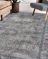 Amer Rugs Alaska Machine Washable Ala6 Rug Collection
