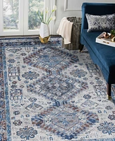 Amer Rugs Alaska Machine Washable ALA2 9'2'' x 11'9'' Area Rug