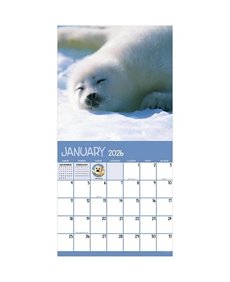 2026 Baby Animals Wall Calendar