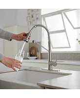 Single-Handle Pull-Down Sprayer 2 Spray High Arc Kitchen Faucet With Deck Plate