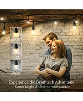 Ambience Pro 48 ft. Indoor/Outdoor Led Weatherproof 2-Watt String Lights with Warm White Hue