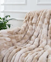Happycare Textiles Fuzzy Faux Fur Throw, 60" x 50"