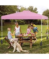 10 X 10 Ft Pop up Canopy Tent with 1 Sidewall and Wheeled Bag