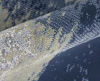 Feizy Clio 39K3F 3'10"x6' Area Rug