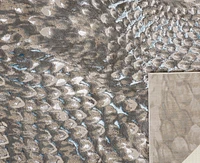 Feizy Azure 3403F 8'x10' Area Rug