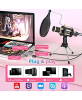 ZealSound Studio Condenser Microphone with Stand, Built-in Sound Card, Echo Recording for Phone, Pc, YouTube, Karaoke, Live Stream (Gold)