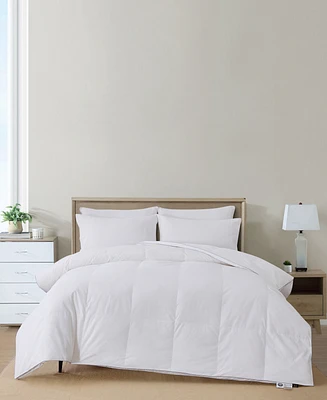 Nikki Chu 300-Thread Count Down Comforter