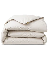 Nikki Chu 250-Thread Count Down Comforter, King - Soft Clay