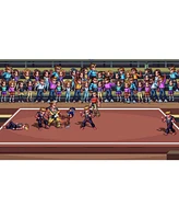 The Karate Kid: Street Rumble for Xbox Series X