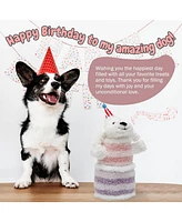 Fuzzwoof Birthday Cake Dog Toy, Dancing with Echo Function Feature, Singing Birthday Songs, Interactive Dog Toy, Birthday Gift for Dogs.