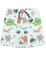 Jurassic Park Toddler Boys 2-Piece Crewneck T-Shirt and Shorts Set
