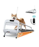 Smart Pet Treadmill, Adjustable Speed