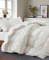 Unikome Medium Weight Extra Soft Goose Feather Fiber Comforter, California King