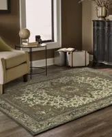 Closeout Oriental Weavers Pasha 5991d Rug