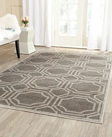 Safavieh Amherst AMT411 5' x 8' Area Rug