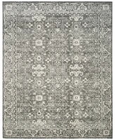 Safavieh Evoke EVK270S Grey/Ivory 8' x 10' Area Rug