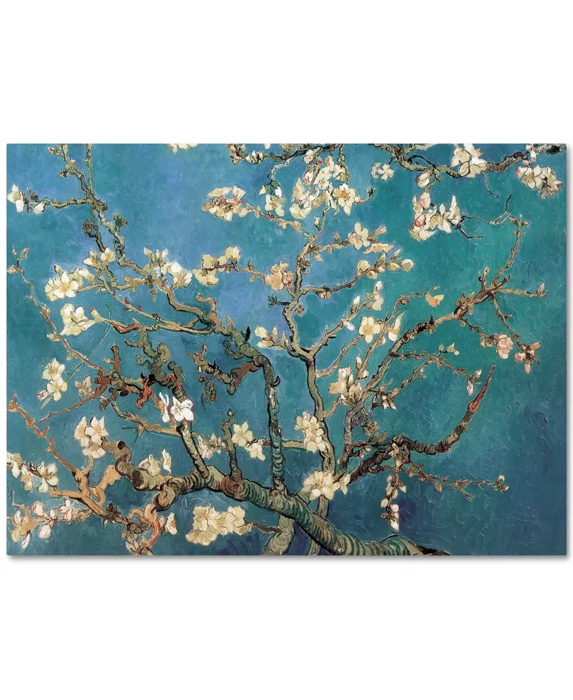 Vincent van Gogh 'Almond Blossoms' Canvas Art