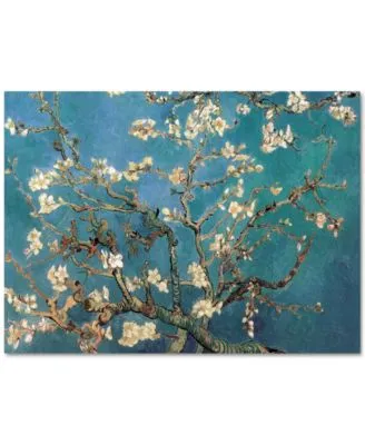 Almond Blossoms By Vincent Van Gogh Canvas Print