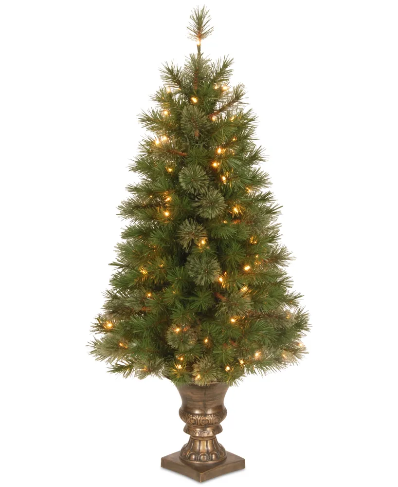 National Tree Company 4' Atlanta Spruce Entrance Tree with 100 Clear Lights