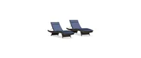 Aldin Outdoor Wicker Adjustable Chaise Lounge