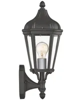 Livex Morgan Outdoor Wall Lantern