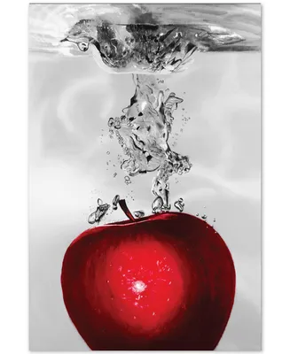 Roderick Stevens 'Red Apple Splash' 22" x 32" Canvas Wall Art