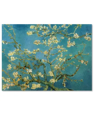 Vincent van Gogh 'Almond Branches In Bloom 1890' Canvas Art