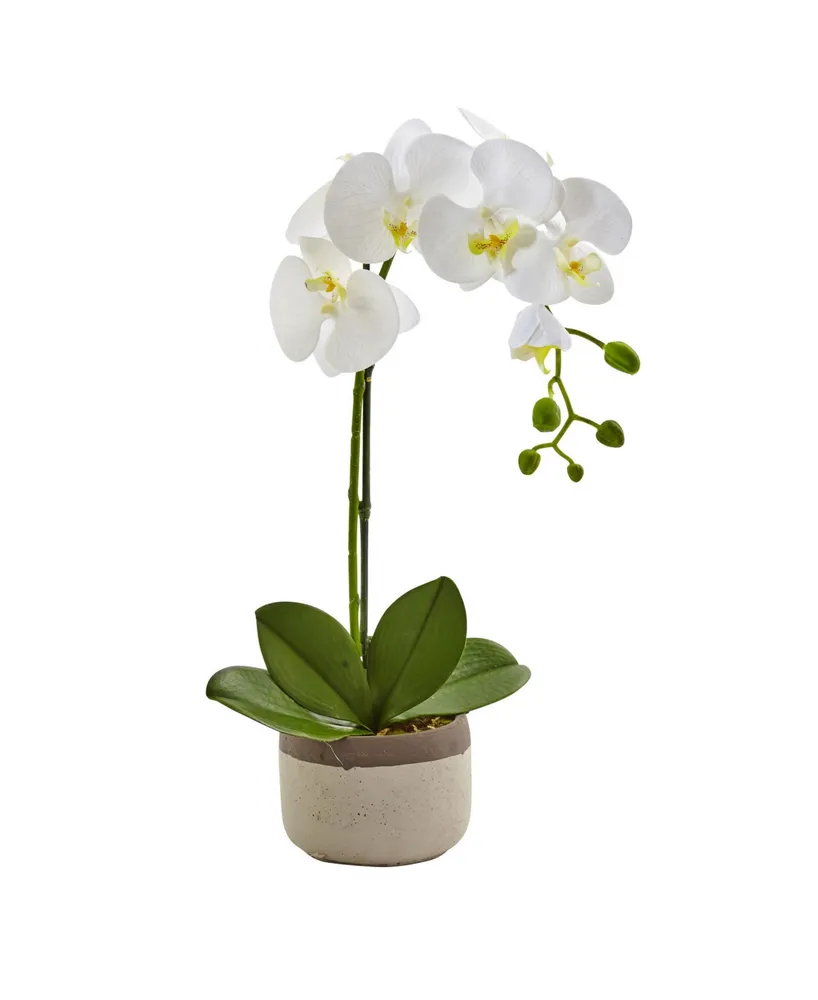 Nearly Natural Artificial Phalaenopsis Orchid in Ceramic Pot