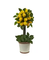 Nearly Natural Lemon Ball Artificial Topiary Arrangement