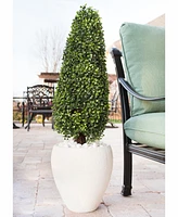 Nearly Natural 41" Boxwood Uv-Resistant Indoor/Outdoor Artificial Topiary with Textured White Planter