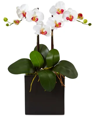 Nearly Natural Double Mini Phalaenopsis Orchid Artificial Plant in Black Vase