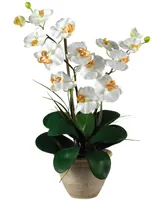 Nearly Natural Double Phalaenopsis Orchid Artificial Flower Arrangement