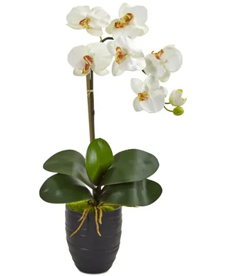 Nearly Natural Phalaenopsis Orchid Artificial Arrangement in Black Vase