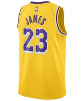 Nike Men's LeBron James Los Angeles Lakers Icon Swingman Jersey